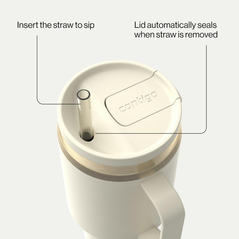 30 oz SnapSeal™ Tumbler (w/ Straw & Handle)